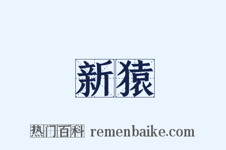 新猿是什么意思的图片